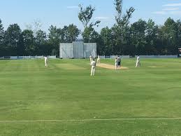 Image result for Denby Cc