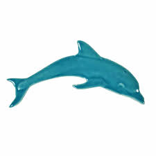 Image result for Dolphin Sub Aqua