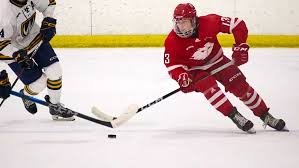 Image result for City Of York Hockey Club