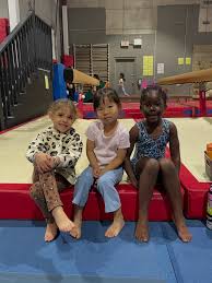 Image result for Hull High Flyers Gymnastics Club