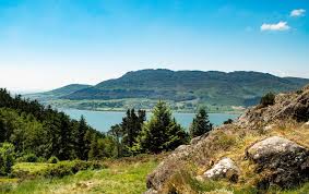 Image result for Louth Velo