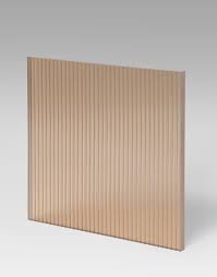 Attēlu rezultāti vaicājumam “Enteridium variabile”