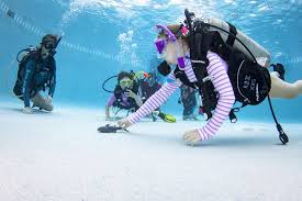 Image result for Scuba Fun