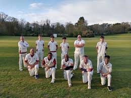 Image result for Nazeing Common Cricket Club
