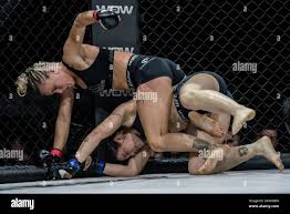 Image result for Guerrero Martial Arts