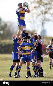 Image result for Enfield Ignatians Rfc