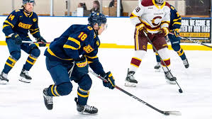 Image result for Queens University Belfast Mens Hockey Club