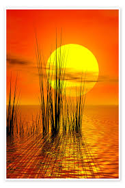 Image result for sunset