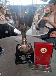 Image result for Willenhall Town Wanderers Netball Club