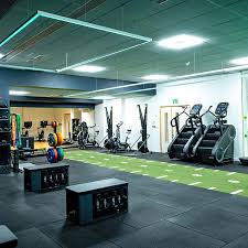 Image result for Abbey Fit Gymnastics