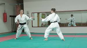 Image result for Seiki Juku Karate Club