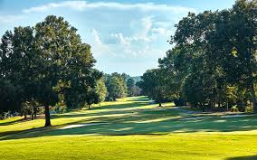 Image result for Bermuda Bowls Club