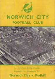 Image result for Redhill Fc (Social) Club