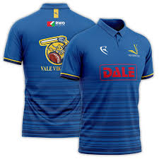 Image result for Vale Cricket Club