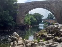 Image result for S England Dive Devil