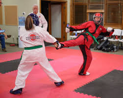 Image result for Windsor Higashi Karate Club