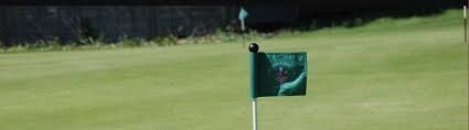 Image result for Letchworth Golf Club