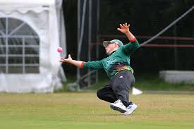 Image result for Hatherleigh Cricket Club