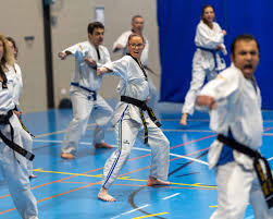 Image result for Impact Martial Arts