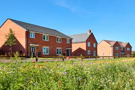 Image result for Nuneaton & Bedworth Sc