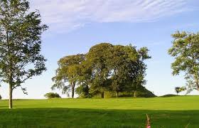 Image result for Carnwath Golf Club