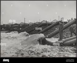 Image result for zeeland 1953