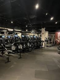 Image result for Lynx Gymnastics Club