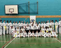 Image result for Wantage TAGB Tae Kwon-Do
