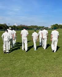 Image result for Henfield Cricket Club
