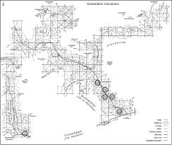 Attēlu rezultāti vaicājumam “Anomodon viticulosus”