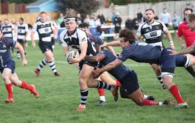 Image result for Sutton & Epsom Rugby Football Club