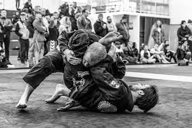Image result for Derwent Jujitsu Academies