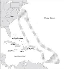 Image result for Kajikia albida