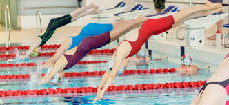 Image result for Grimsby Penguins Swimming Club