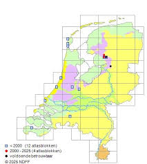 Attēlu rezultāti vaicājumam “Bryum neodamense”