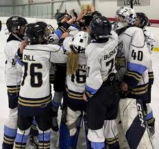 Image result for Phoenix Hockey Club (Essex)