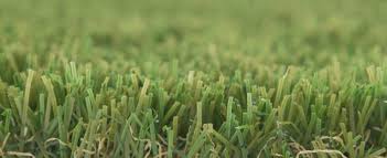 Image result for Astroturf