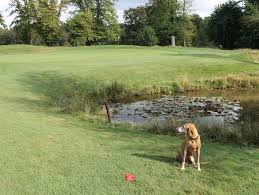 Image result for Chiddingfold Golf Club