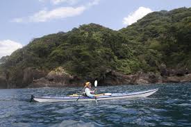 「九鬼嘉隆 織田信奈の野望」の画像検索結果