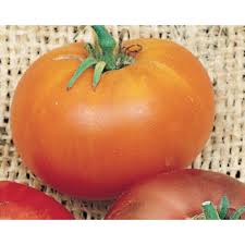 Afbeeldingsresultaat voor caro rich tomato