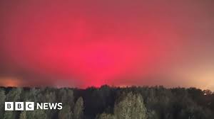 Afbeeldingsresultaat voor northern lights tomato