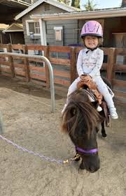 Image result for Carman Stables Archery