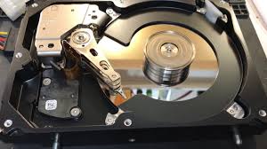 Картинки по запросу белку зажевало в диск