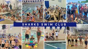 Image result for South Axholme Sharks Asc