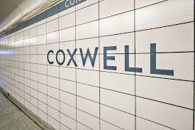 Image result for Speedwell Ttc