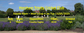 Image result for Horsham Trinity Cricket Club