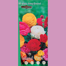 Attēlu rezultāti vaicājumam “Ranunculus acris fruit”