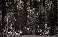 Image result for bohemian club