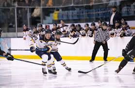 Image result for Romford Raiders