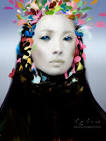 Feature on Bao Pham